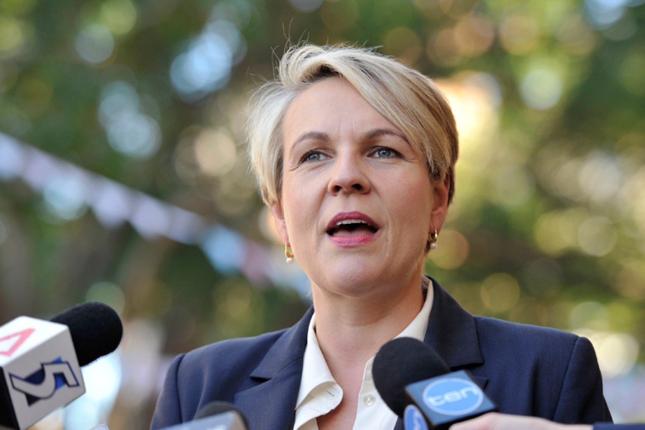 Tanya Plibersek says the move is like something out of a dictatorship. Photo: AAP