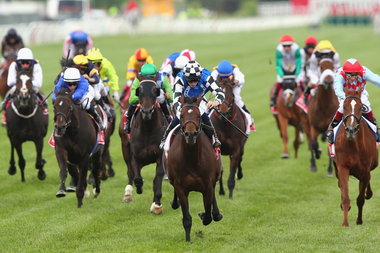 Protectionist wins the 2014 Melbourne Cup.