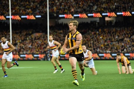Campbell Brown: Sam Mitchell is one of Hawthorn&#8217;s greatest