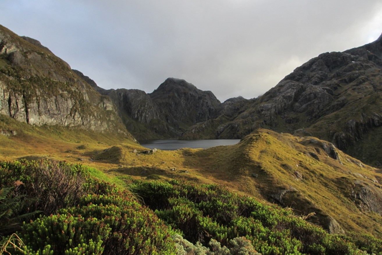 A woman who waited a month to be rescued has been found on the  Routeburn Track in New Zealand.