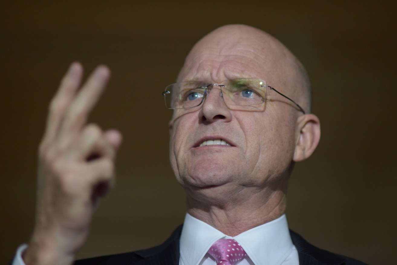 Senator Leyonhjelm says people are 'stupid' if they misunderstand the context of his comment about the Melbourne tragedy.