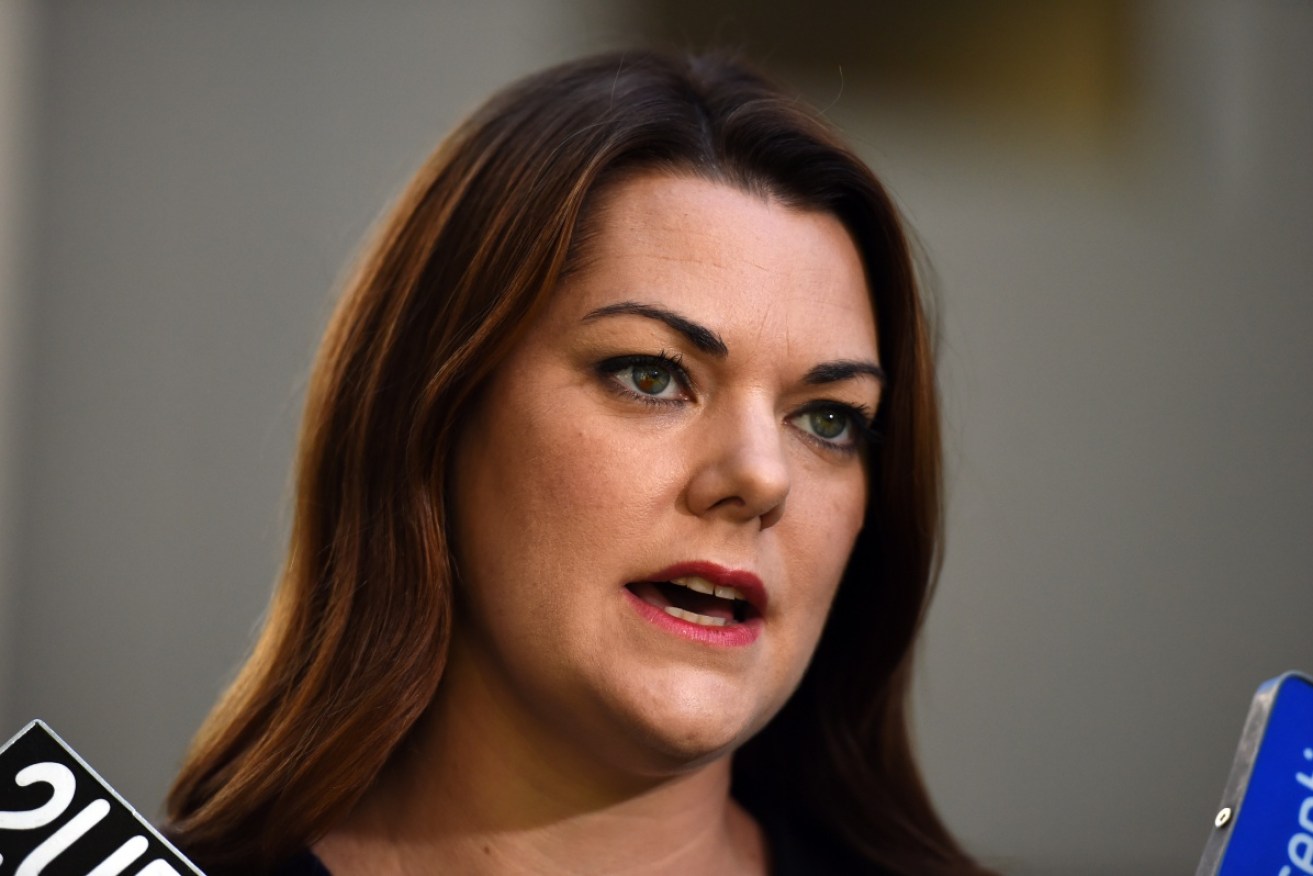 Sarah Hanson-Young's motion passed on Wednesday.