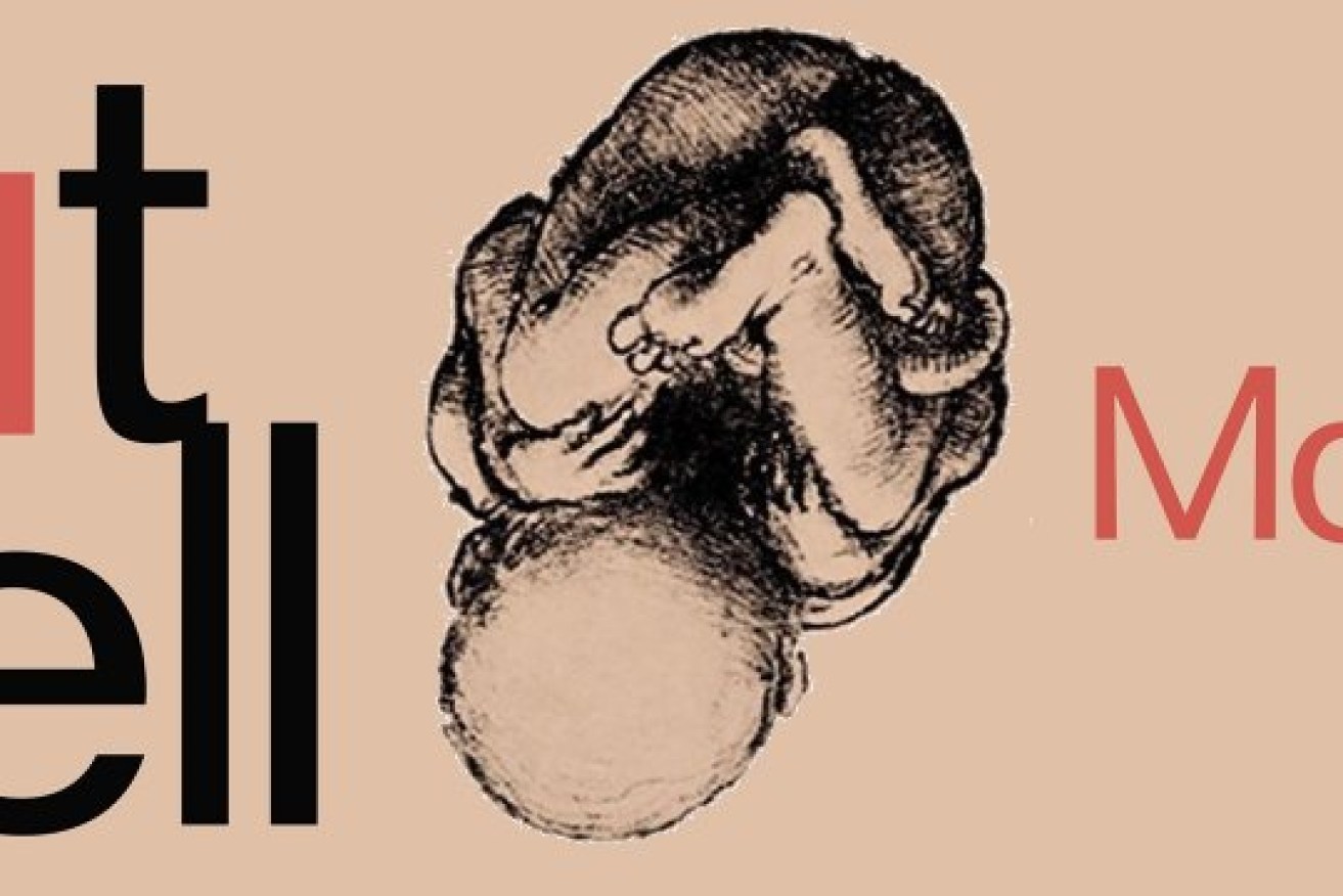 Nutshell : Ian McEwan's bizarre new book | The New Daily