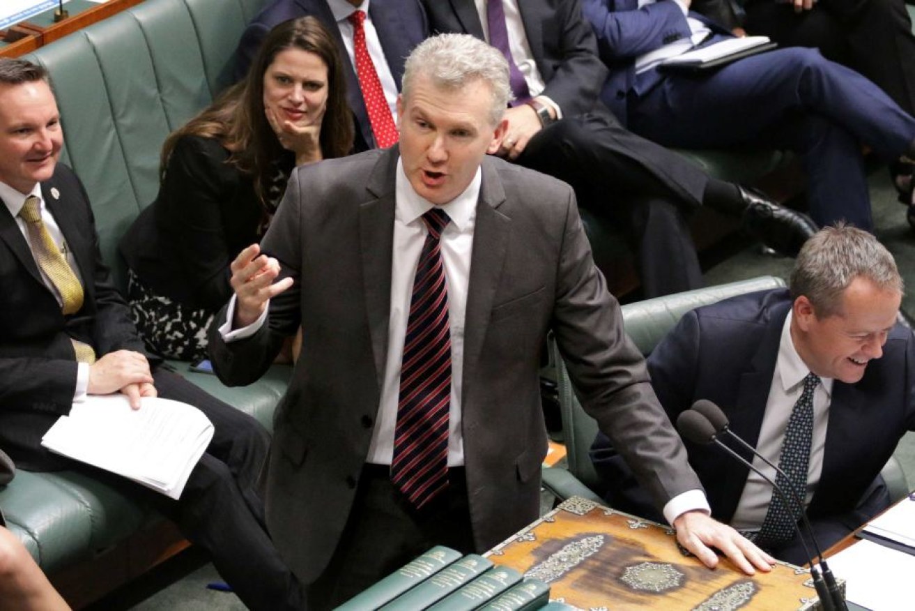 Labor's Tony Burke has asked the Audit Office to investigate. Photo: AAP