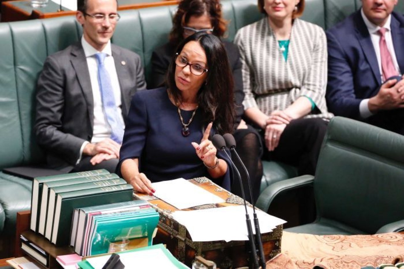 Linda Burney has used her maiden speech to argue against the proposed changes.