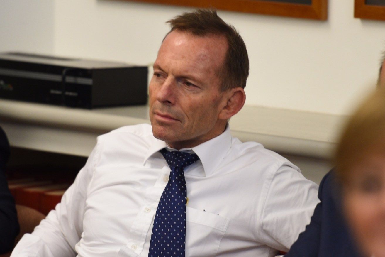 Abbott tried to paint Turnbull into a corner. Photo: AAP