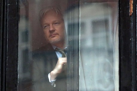 The case against Julian Assange &#8216;must be dropped&#8217;: leading barrister