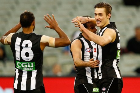 This is why Collingwood fans are getting very excited
