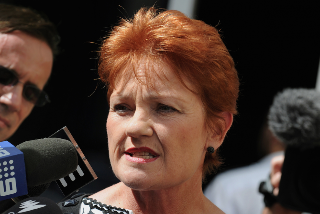 Pauline Hanson says Australians want a strong leader like Russian President Vladimir Putin.