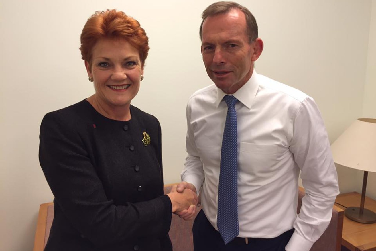 Tony Abbott spearheaded the push that saw Pauline Hanson convicted and jailed. Now some of her best friends are Liberals.