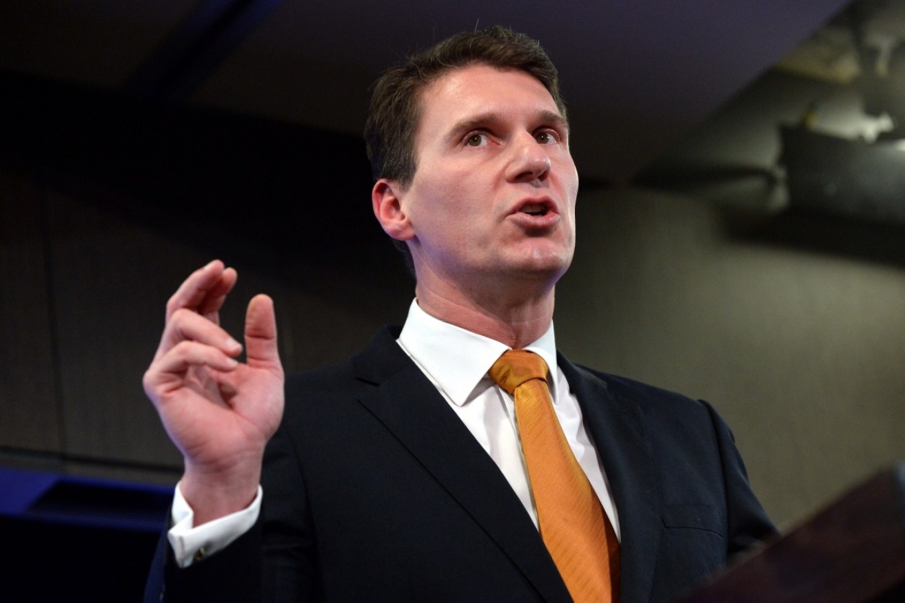 The only person talking about division in the party is Tony Abbott, says Cory Bernardi.