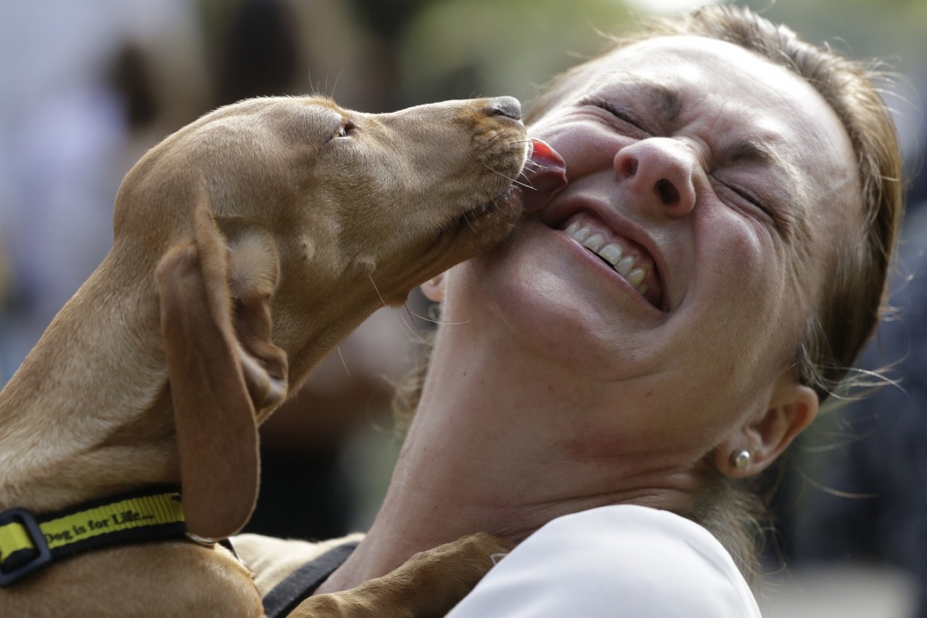 And you thought your dog loved because of all that patting.