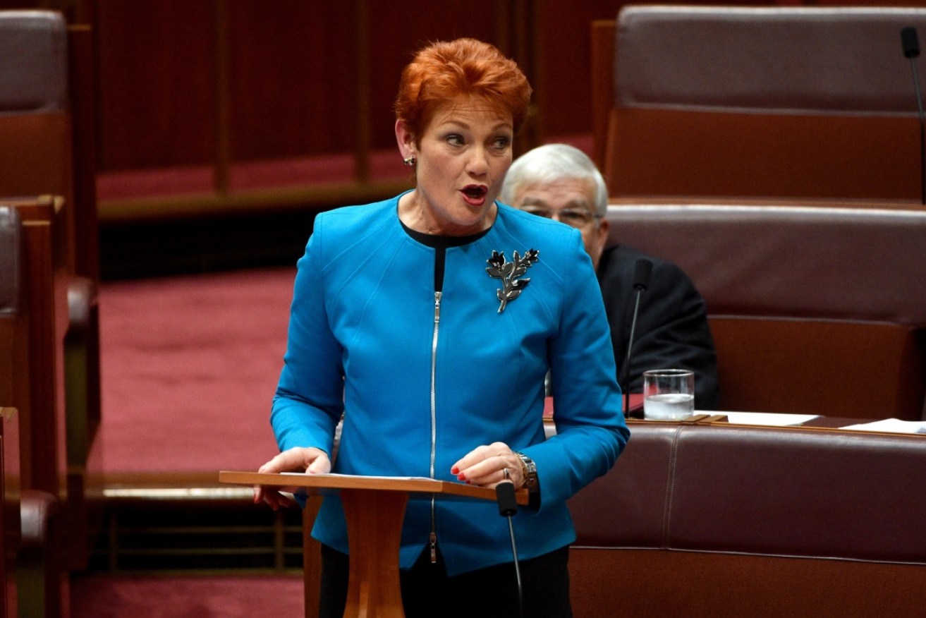 Ms Hanson enraged Greens senators. So much so they walked out of the senate mid-speech. 