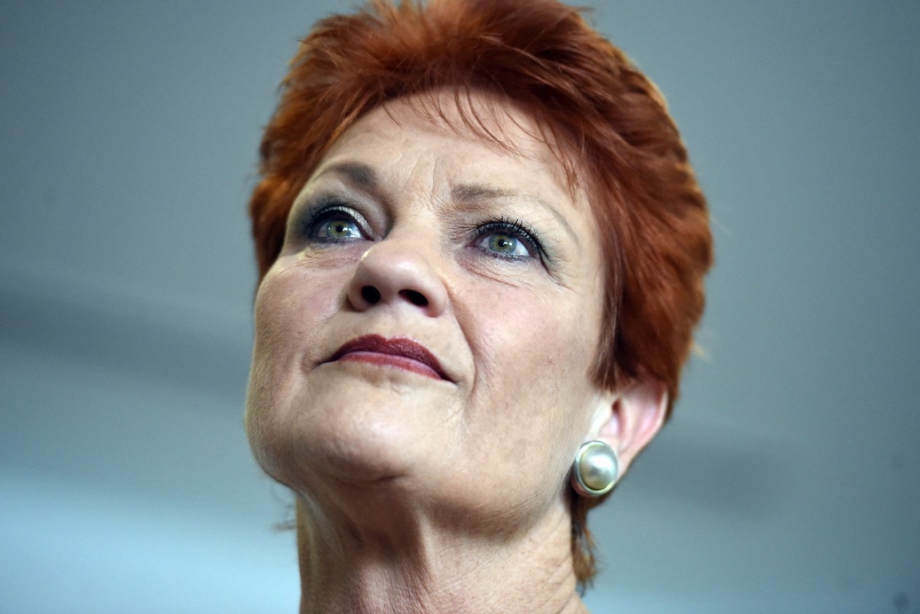 Pauline Hanson says she would respect the right for same-sex marriage if the Australian public was shown to be in favour.