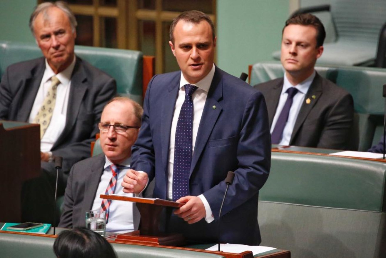 Liberal MP Tim Wilson  Photo: ABC