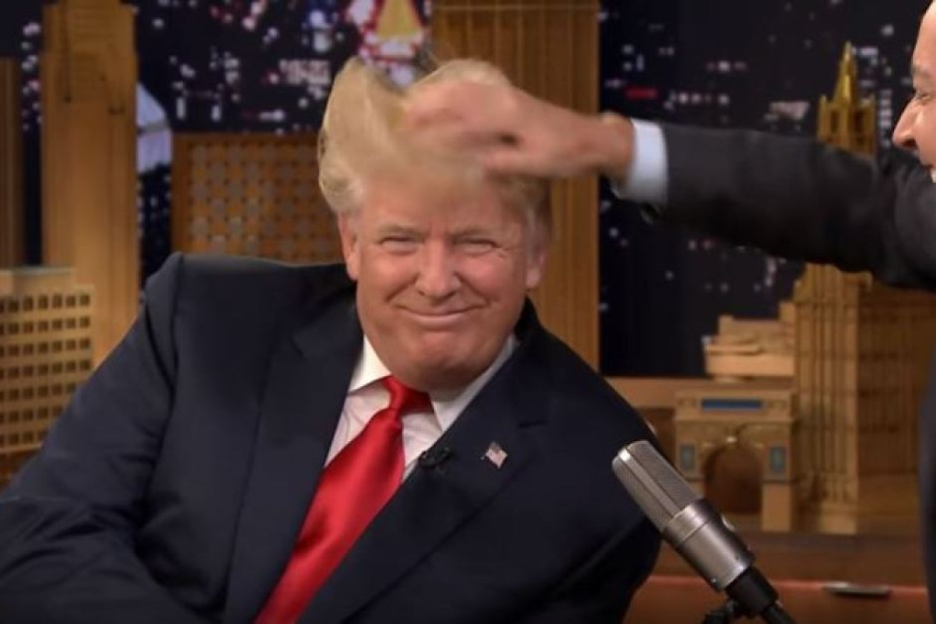 Ruffling feathers: Trump's hair is put to the test.