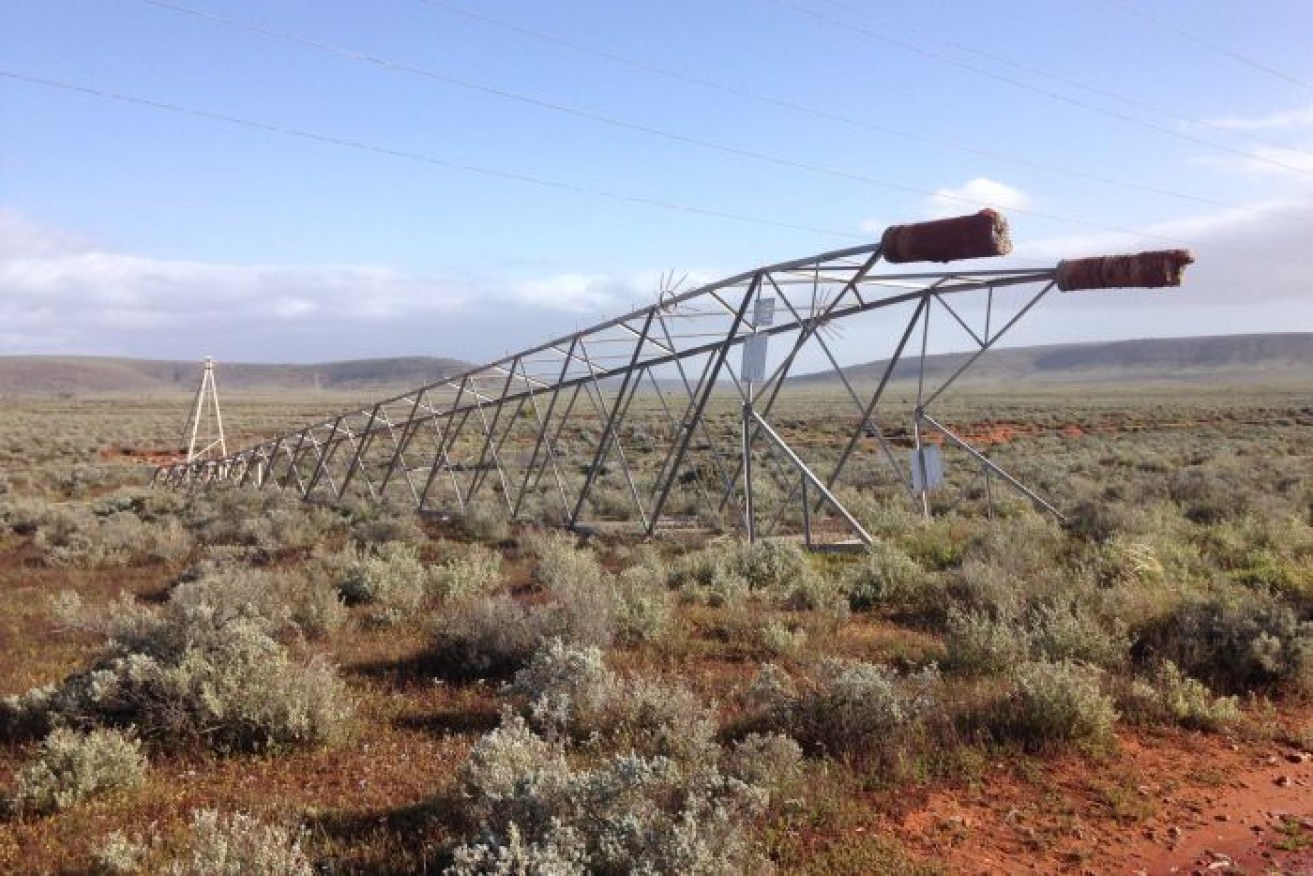 One of the destroyed power lines that caused South Australia's power outage. 