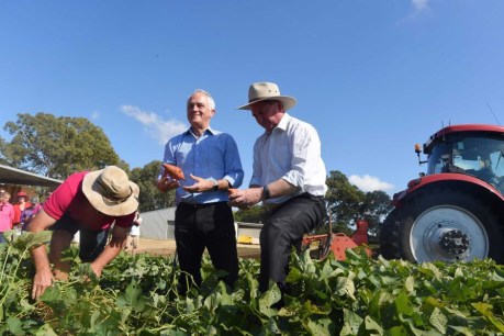 Farmland &#8216;twice size of Victoria&#8217; owned by foreign interests: Barnaby Joyce