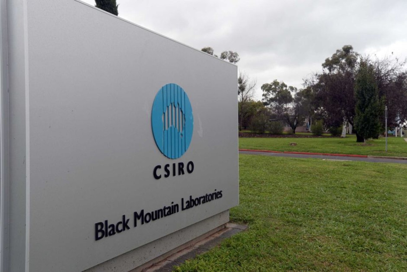 The CSIRO is investigating the breach in biosecurity and laboratory protocols.