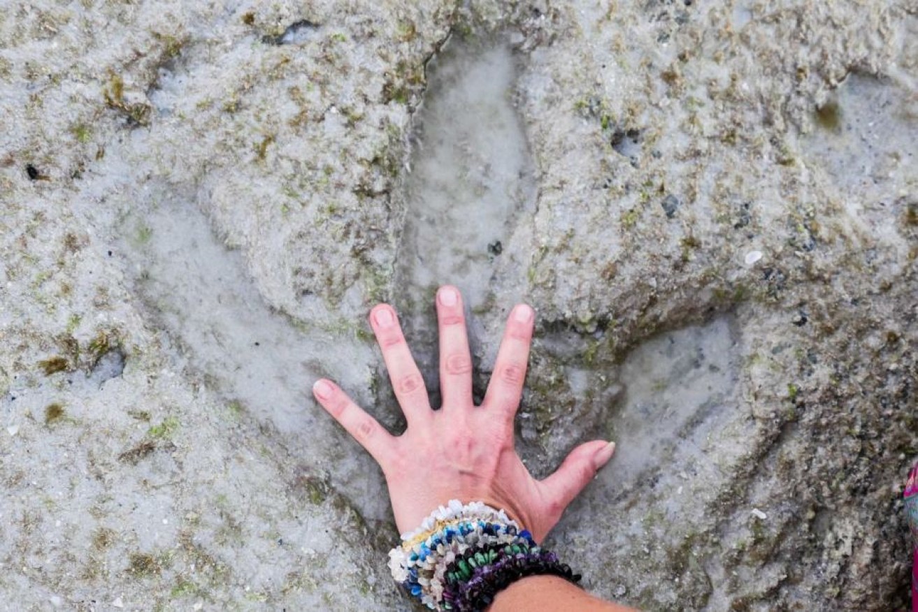 Bindi Lee Porth places her hand in the dinosaur tracks she discovered.