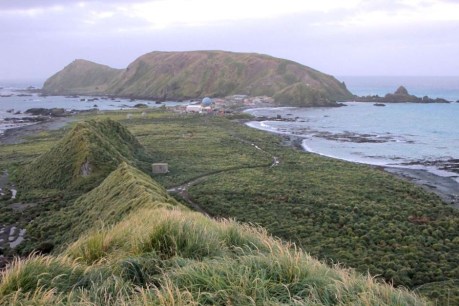Macquarie Island scientists urge government to upgrade base