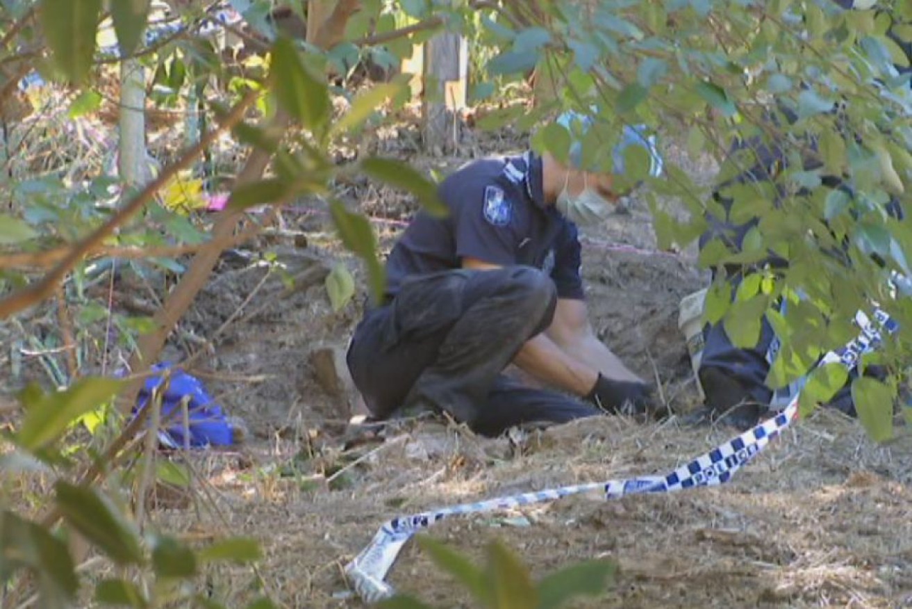 Police search site in Teneriffe Park on Brisbane's inner-north where a human jaw, arm and leg bones have been discovered.