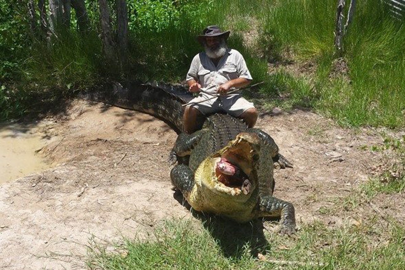 Rob Bredl was attacked by a crocodile at his wildlife farm.