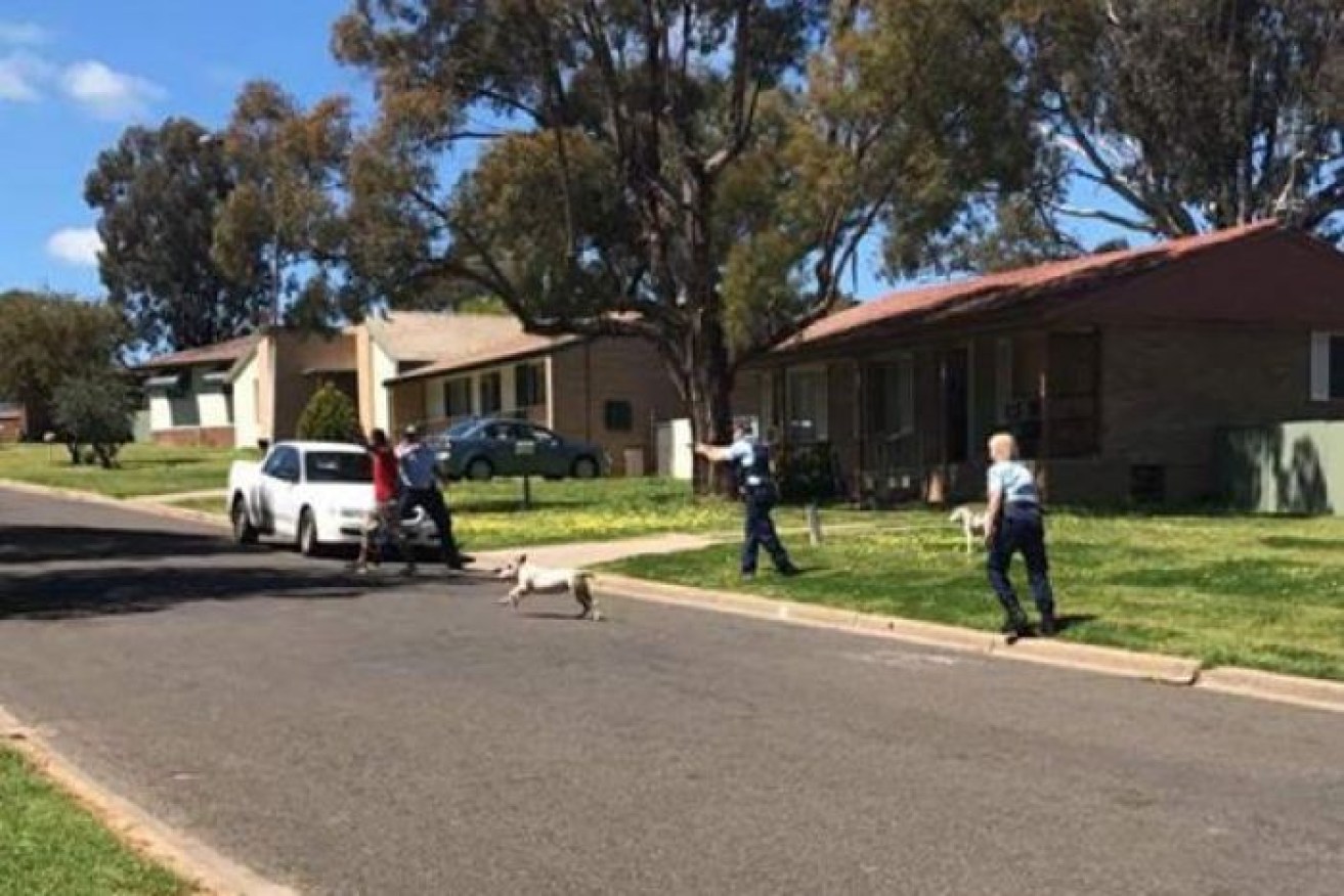 A police officer with a drawn gun in a residential street at Cowra. Photo: Facebook

