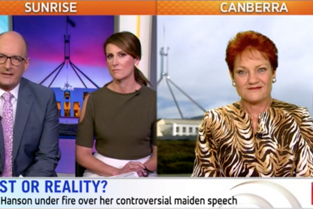 David Koch said his own mixed-race family could be harmed by Pauline Hanson's claims.