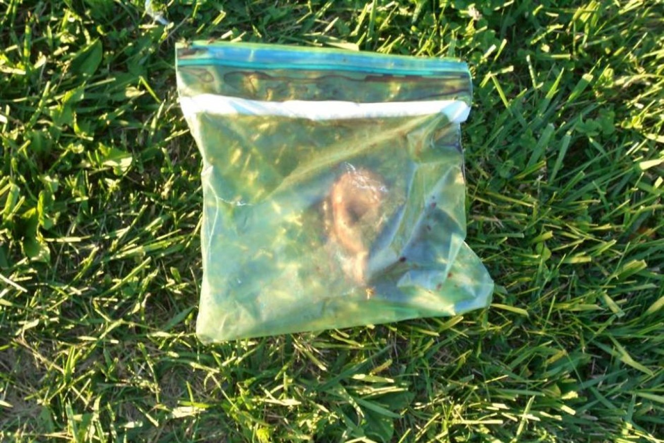 A heart in a ziplock bag found in a field in Ohio.