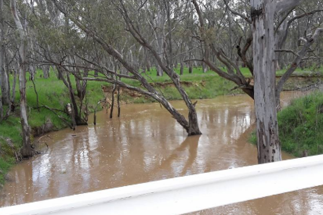 The Wimmera region is on flood watch after days of heavy rain. 