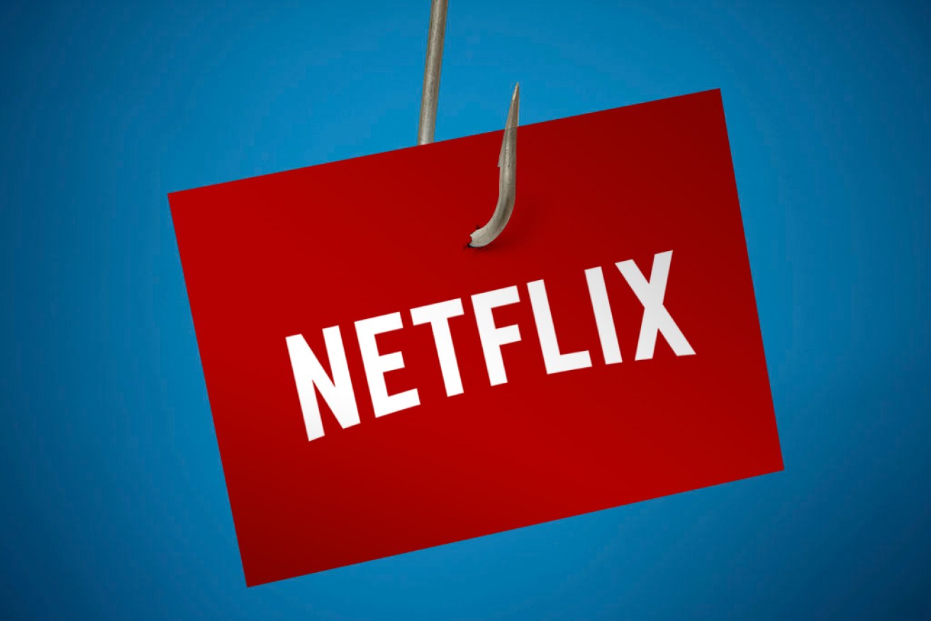 Netflix users have been warned of a 'phishing' scam that could steal your account and bank details.