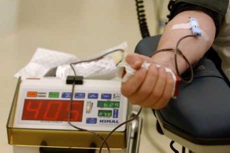 Victoria calls for end to the ban on gay blood donors