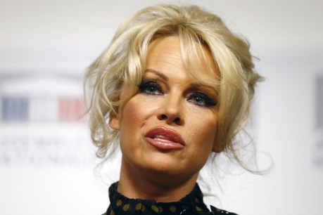 Sex abuse survivor Pamela Anderson slams Trump