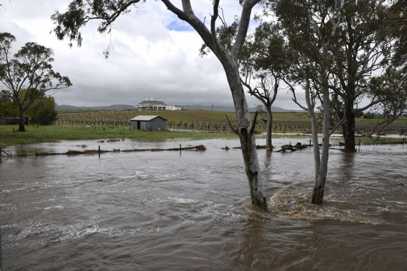 Home insurance premiums in South Australia are not expected to skyrocket despite recent floods. 