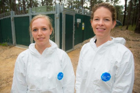 Inside the secret Australian body farm helping real-life CSIs