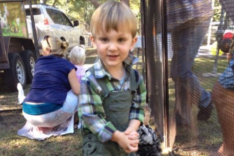 Two-year-old boy bitten three times by deadly snake