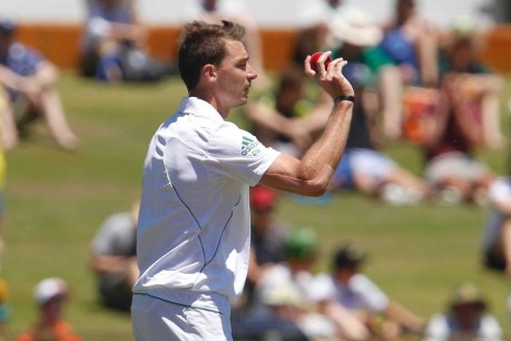 Steyn targeting Smith as key Australian wicket