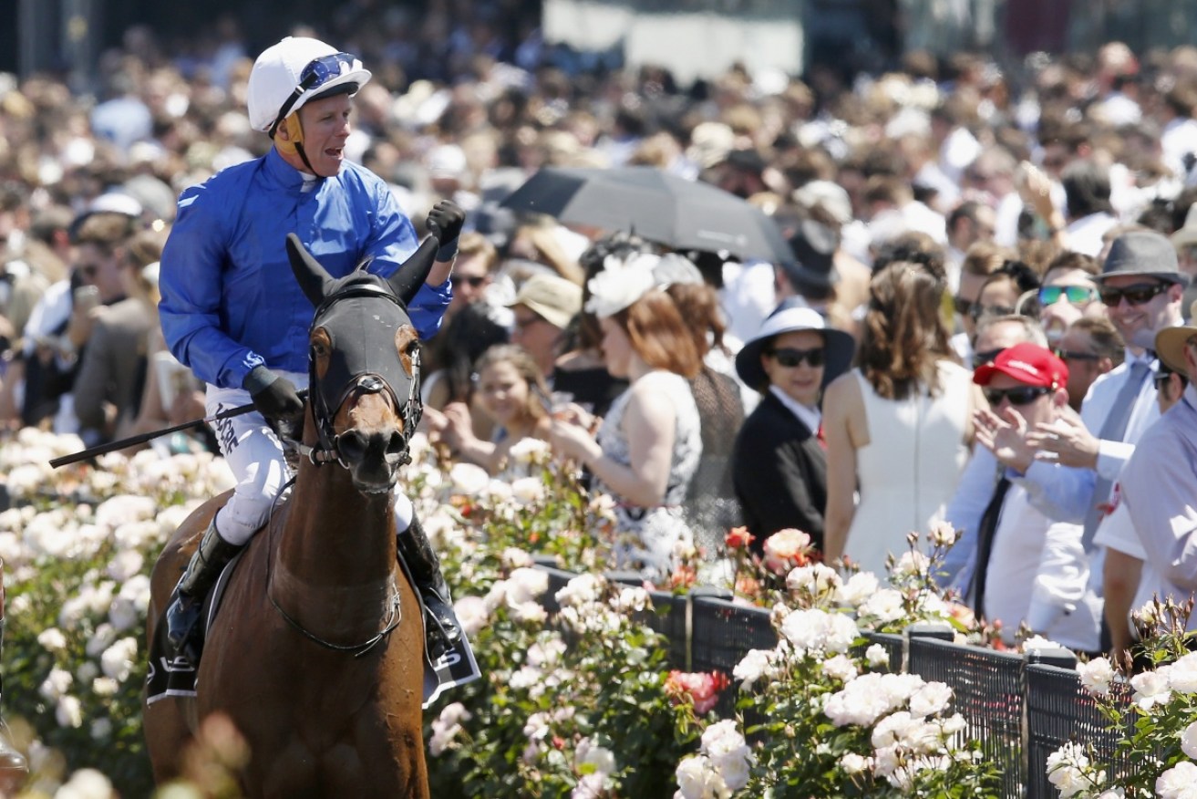 Crowds are back for the Melbourne Cup carnival, but this year the number of punters and revellers will be strictly limited.
