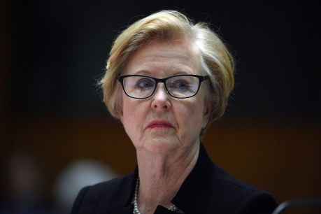 Triggs &#8216;should stay out of politics&#8217; after Senate Estimates error: Pyne