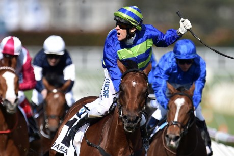 Jameka v the imports: Melbourne Cup preview and tips