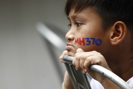 Malaysia Airlines warned MH370 &#8216;failed to meet legal, industry standards&#8217;