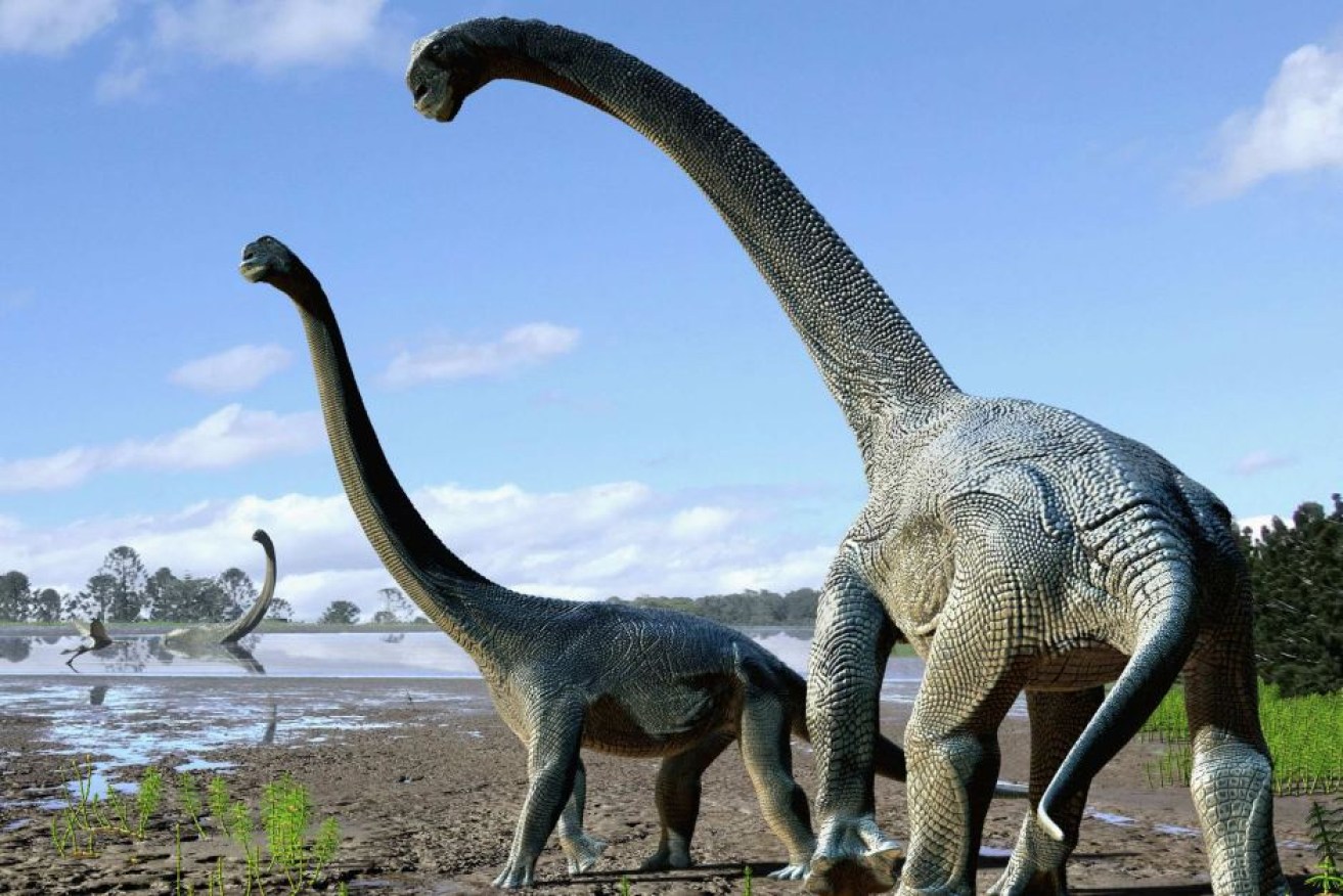 Savannasaurus elliottorum was found in Queensland during a sheep muster.