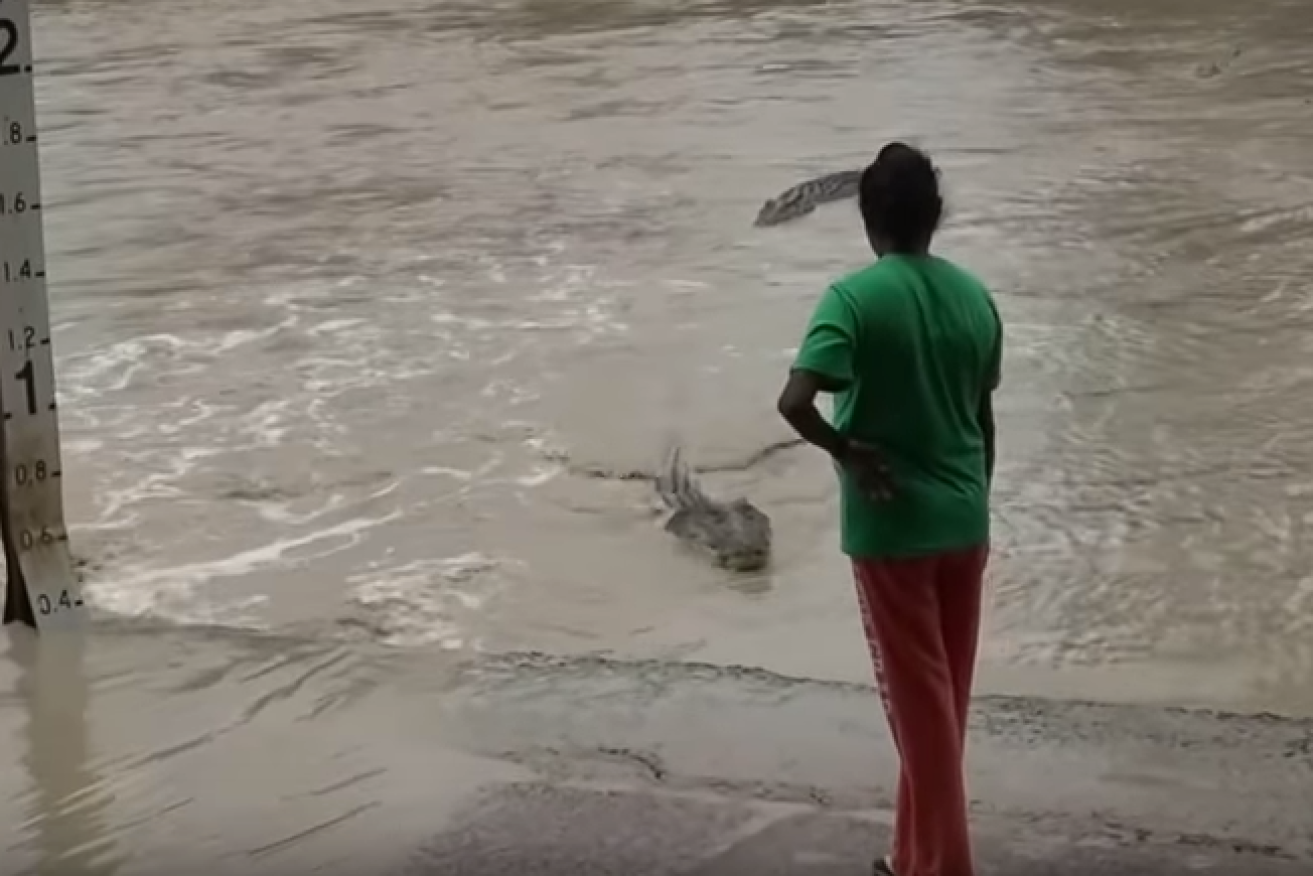 A shocking confrontation between a woman, a dog and a large saltwater crocodile.