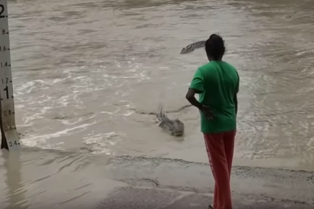 Kakadu crocodile rangers say people taking too many risks