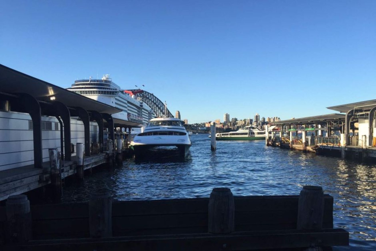 The ferry crashed into a pontoon at Circular Quay, resulting in service cancellations.