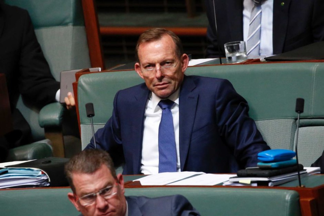 Tony Abbott calls for the Government to give voters and MPs something to fight for. 