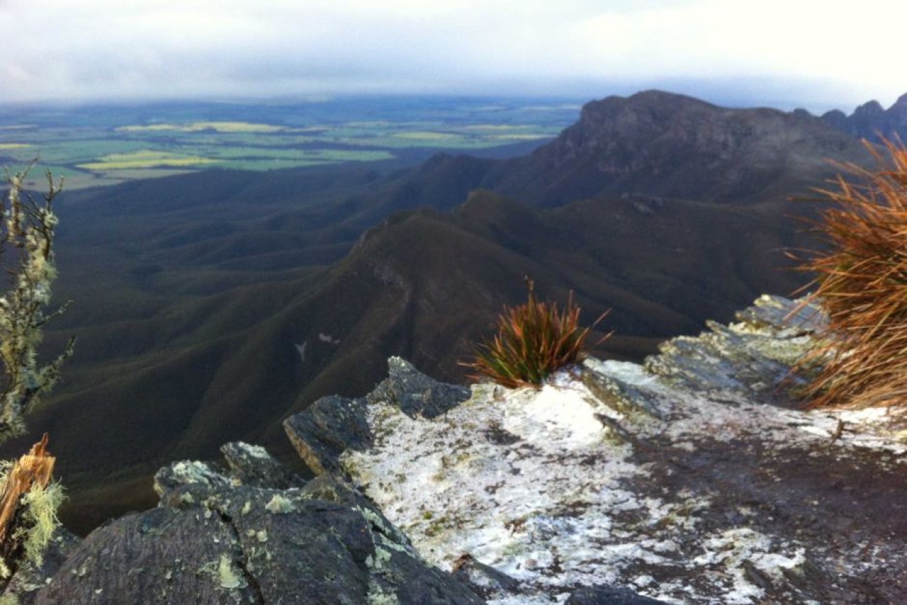 Snow fell on Bluff Knoll in WA's Great Southern in August.