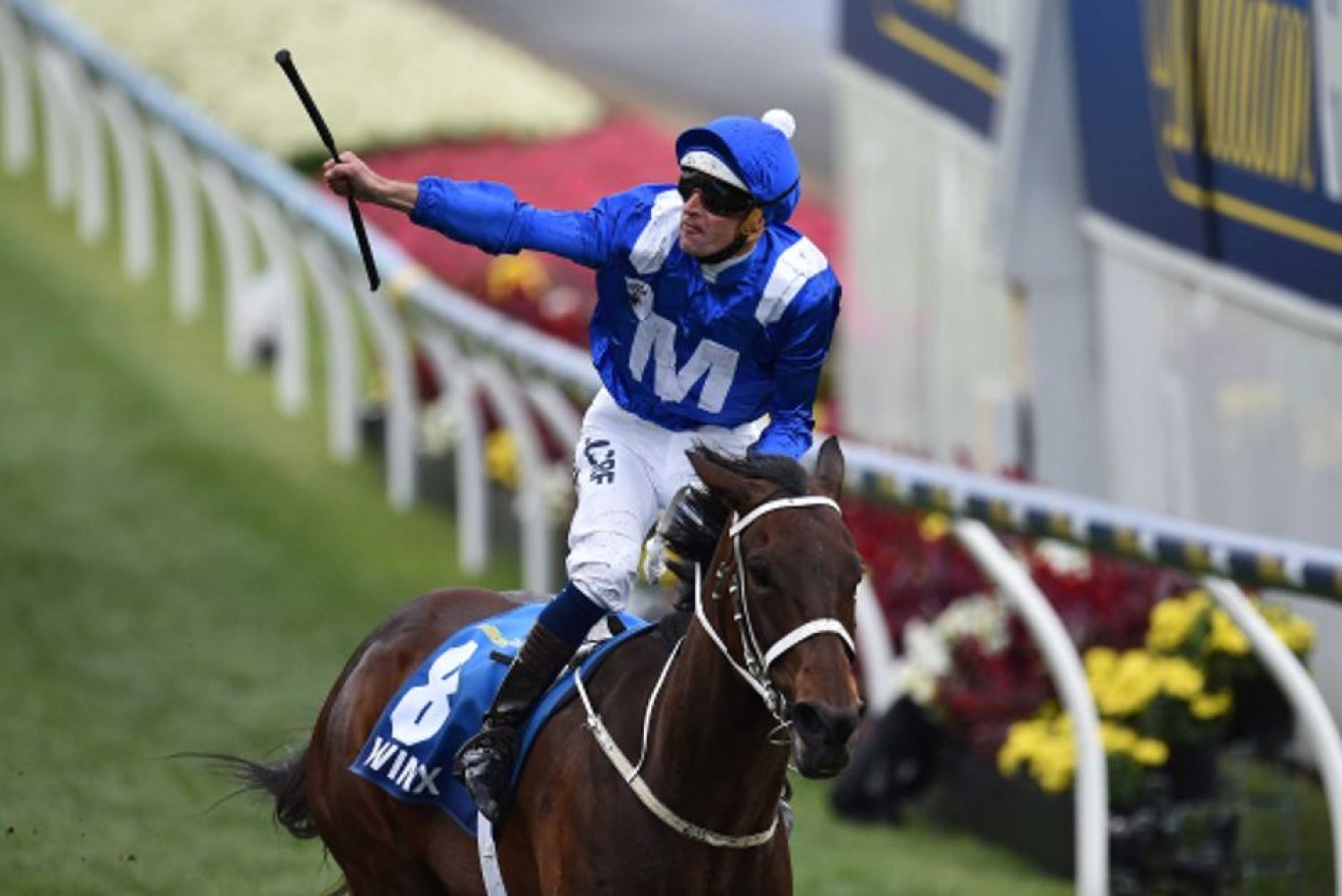 Winx was the un-backable favourite to take out the race. 