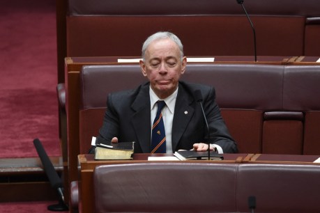 Bob Day: ‘self-indulgent’ from beginning until end
